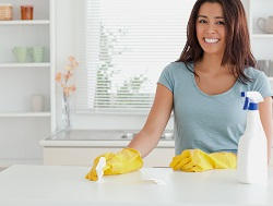 gu1 domestic cleaning company in surrey