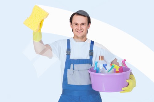 Living room rug cleaning routine with vacuum and care tools