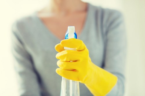 Bathroom deep cleaning with scrubbing and sanitizing focus