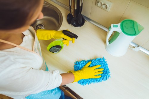 Domestic cleaning supplies arranged for home maintenance