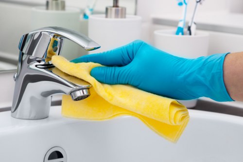Natural and chemical oven cleaning methods explained