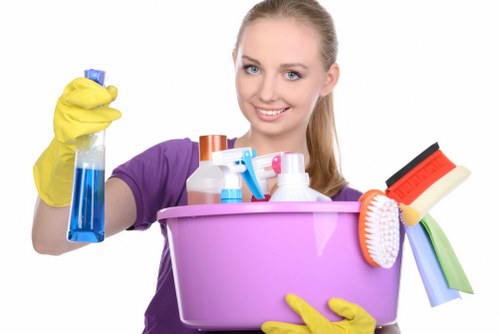 Bathroom domestic cleaning and sanitising routine